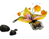 fleur flotante