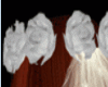 *Veils Flowers*