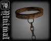 Decay Leash [M]