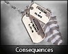 C: Feather:Tags Necklace