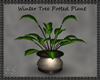 Winter Tree Potted Plant