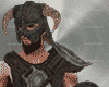 Gladiator viking Shield