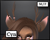 [Cyn] Yai Antlers
