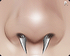 Septum. Spike