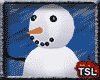 [T] Build a Snowman