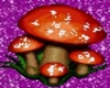 Mushroom{Transparent BG}