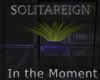 In The Moment Plant