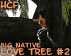 HCF big native love tree