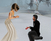 Roco & Roni Proposal