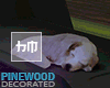 Pinewood - DECORATED