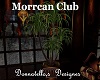 moroccan club plant