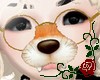 Snow Fox Filter Glasses