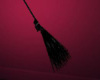 D* Mistress Witch Broom