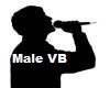 Male DJ VB (FX)