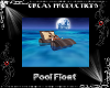[orca]Pool Float