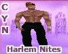 Harlem Nites Pants