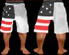 USA Flag Long Shorts