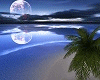 moonlight beach