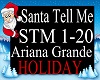 *stm - Santa Tell Me