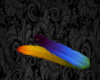 !A Rainbow Cat Tail