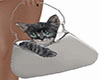 bag with kitten