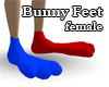 Derivable Bunny Feet F