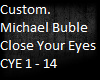 Michael Buble Custom