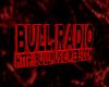 Bull Radio 3D Sign 5