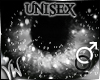 UNISEX new grey