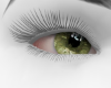 Life |green