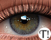 T! Beauty Eyes 6