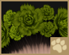~AM~ Dúlra Head v1