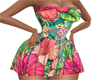 LKC Tropical Summer