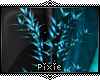 |Px| Reflect Plant