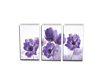 3 Trio Purple Flower Pic