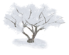 ps*romantic tree snow an