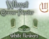 WhystPlanterCorner-white