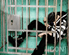 Prisoned Avatar M