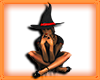 *HALLOWEEN Witch*