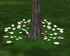 Daisy Flower Ring