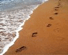 Footprints In The Sand  