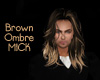 Brown Blonde Ombre -Mick