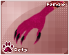[Pets] Coralia | claws F