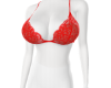 red lace  bra lingerie