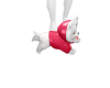 KA Puppy