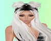 Fay's Mashia