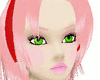 Sakura Eyebrows~
