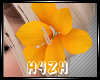Hz-Yellow Ear Flower