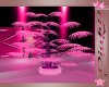 {P}PinkGoddess Plant