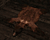 Grizzly Bear Rug